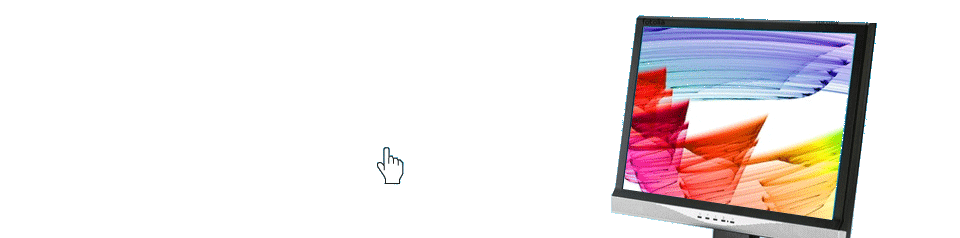 Web application development